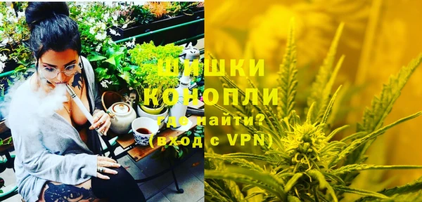2c-b Богородицк