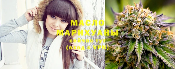 ECSTASY Бородино