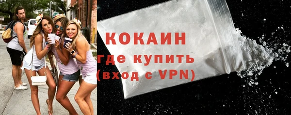 ECSTASY Бородино