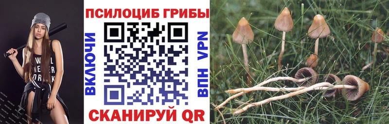 Псилоцибиновые грибы мицелий  Петропавловск-Камчатский 